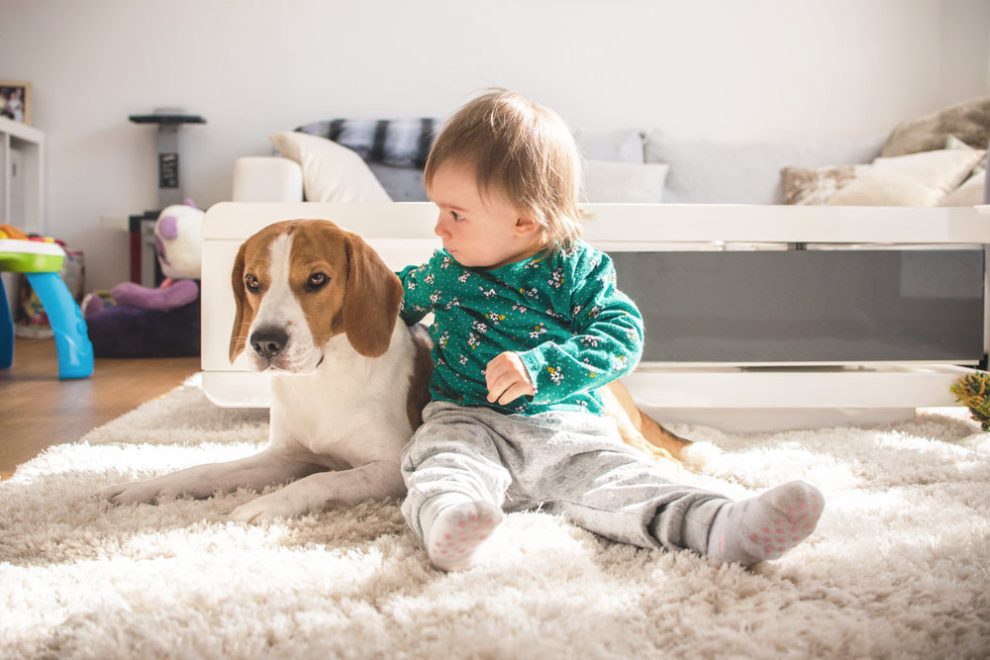 how-to-change-guardianship