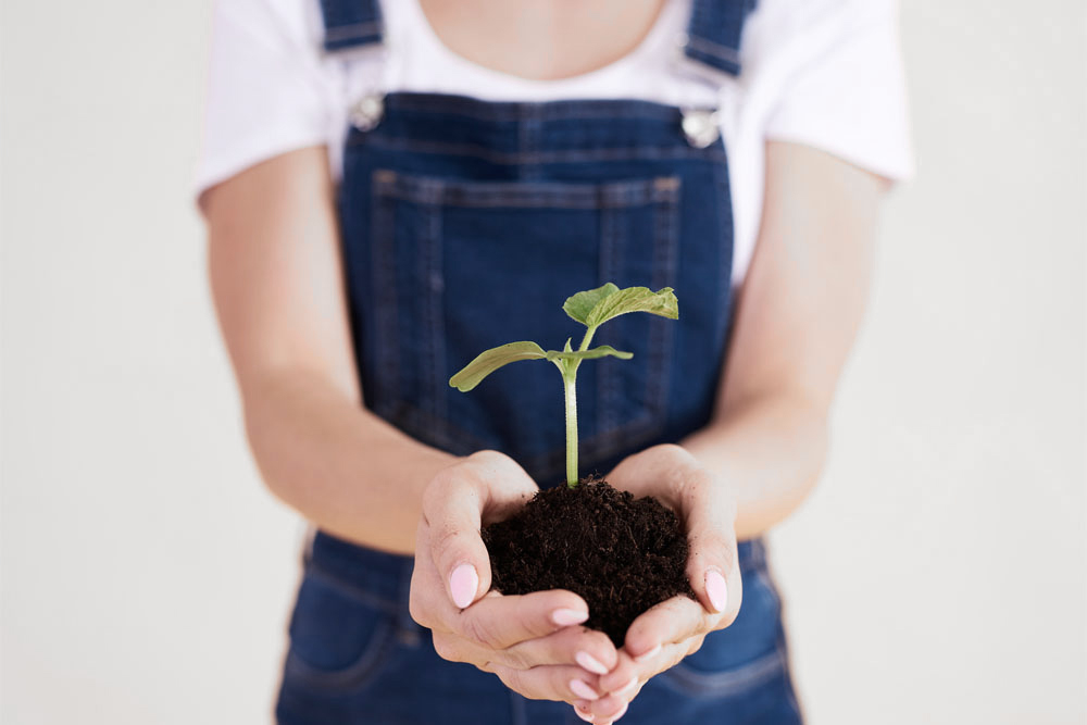 family-legacy-planning-prenups